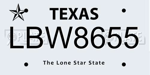 LBW8655 Texas License Plate
