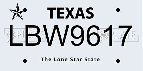 LBW9617 Texas License Plate