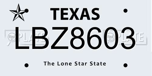 LBZ8603 Texas License Plate