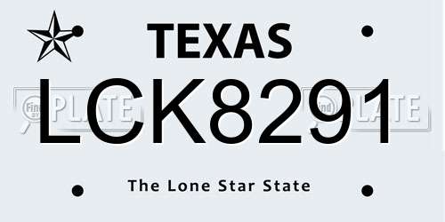 LCK8291 Texas License Plate