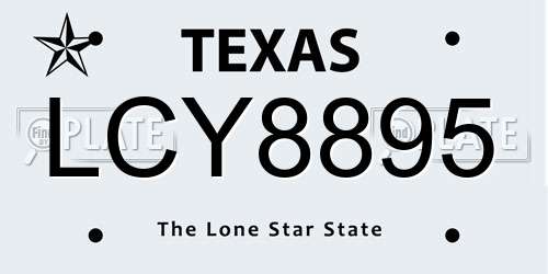 LCY8895 Texas License Plate