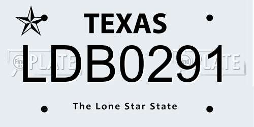 LDB0291 Texas License Plate