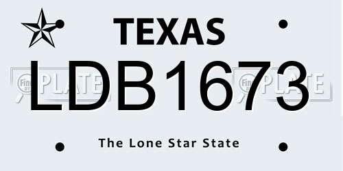 LDB1673 Texas License Plate