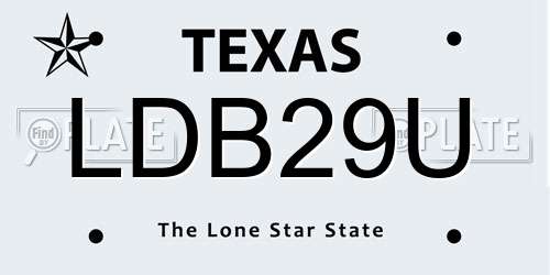 LDB29U Texas License Plate