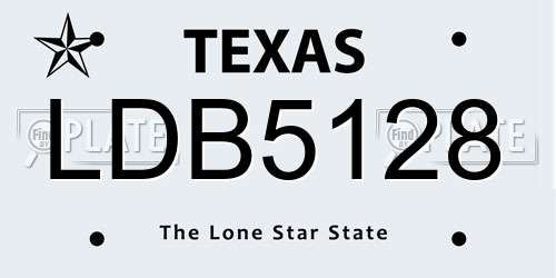 LDB5128 Texas License Plate
