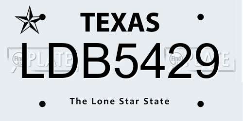 LDB5429 Texas License Plate