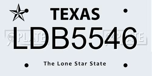 LDB5546 Texas License Plate