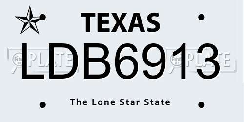 LDB6913 Texas License Plate