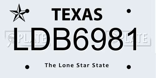 LDB6981 Texas License Plate