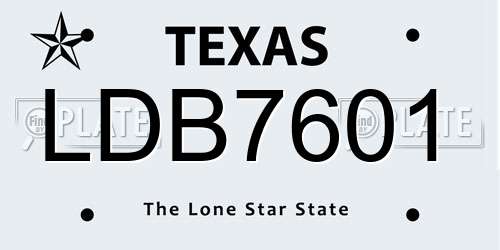 LDB7601 Texas License Plate