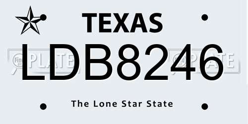 LDB8246 Texas License Plate