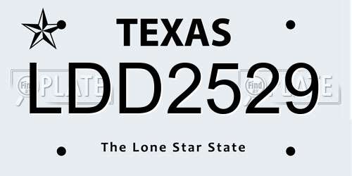 LDD2529 Texas License Plate