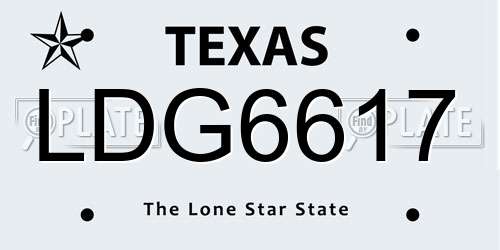 LDG6617 Texas License Plate