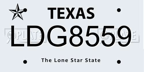 LDG8559 Texas License Plate