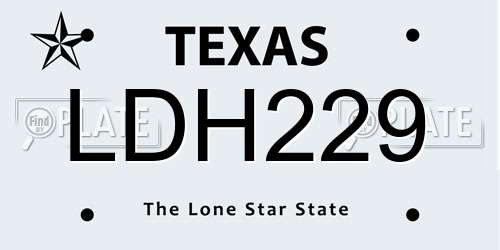 LDH229 Texas License Plate