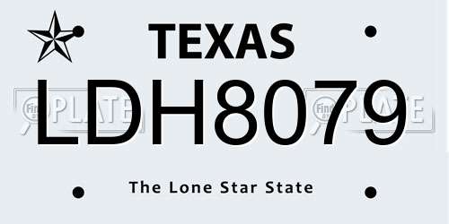 LDH8079 Texas License Plate