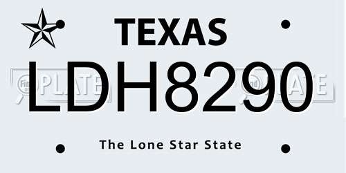 LDH8290 Texas License Plate