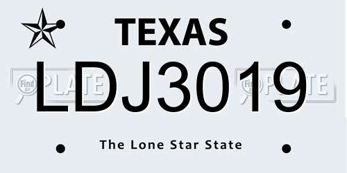 LDJ3019 Texas License Plate