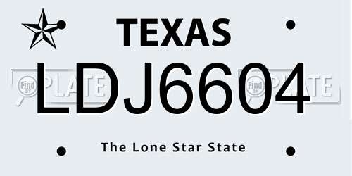 LDJ6604 Texas License Plate