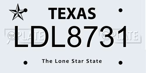 LDL8731 Texas License Plate
