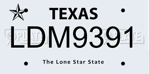LDM9391 Texas License Plate