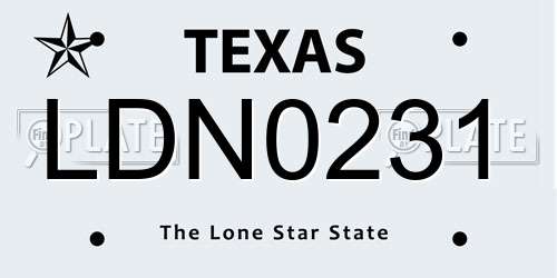 LDN0231 Texas License Plate