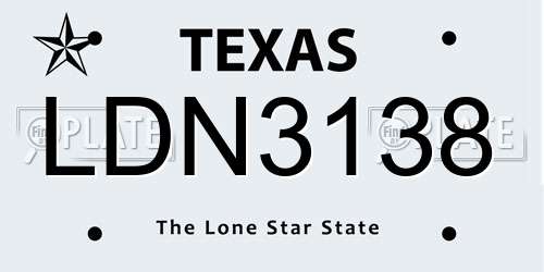 LDN3138 Texas License Plate