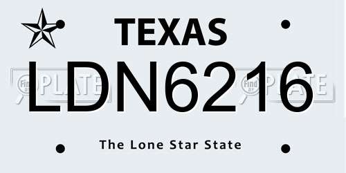 LDN6216 Texas License Plate