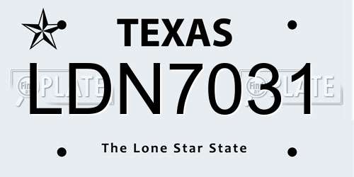 LDN7031 Texas License Plate