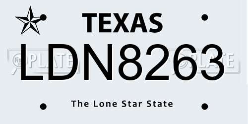 LDN8263 Texas License Plate