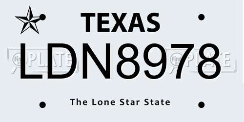 LDN8978 Texas License Plate