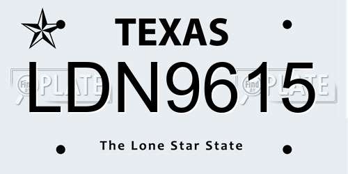 LDN9615 Texas License Plate