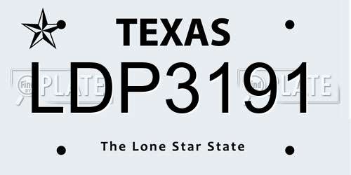 LDP3191 Texas License Plate