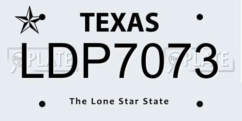 LDP7073 Texas License Plate