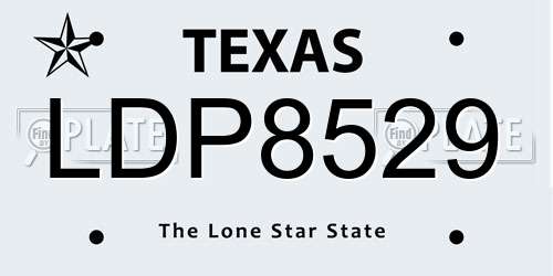 LDP8529 Texas License Plate