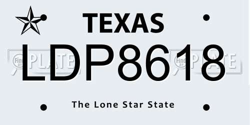 LDP8618 Texas License Plate