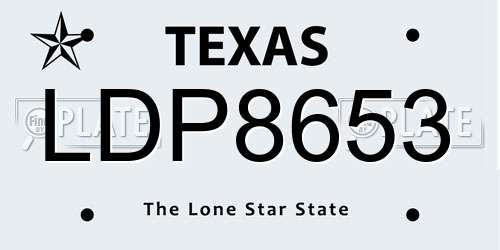 LDP8653 Texas License Plate