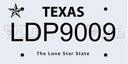 LDP9009 Texas License Plate