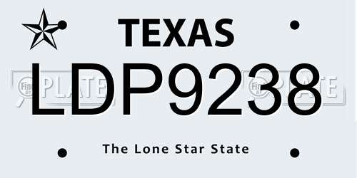 LDP9238 Texas License Plate