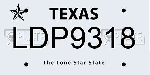 LDP9318 Texas License Plate