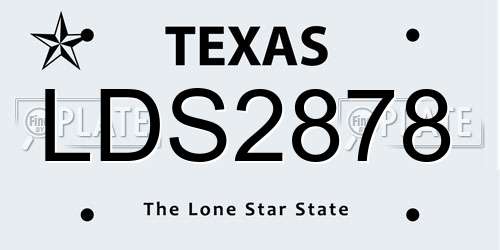 LDS2878 Texas License Plate