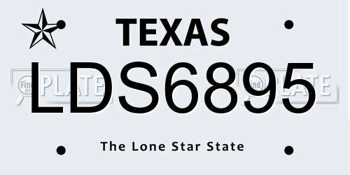 LDS6895 Texas License Plate