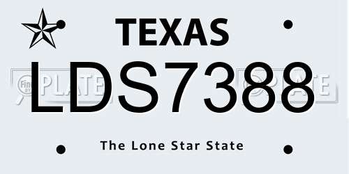 LDS7388 Texas License Plate