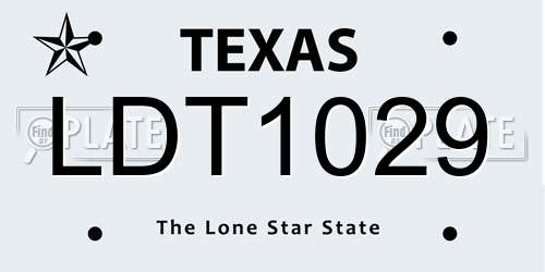 LDT1029 Texas License Plate