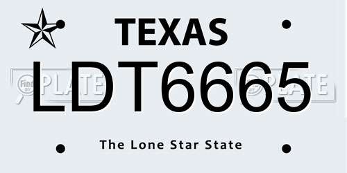 LDT6665 Texas License Plate