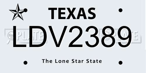 LDV2389 Texas License Plate