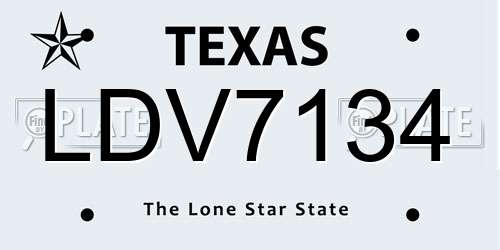 LDV7134 Texas License Plate