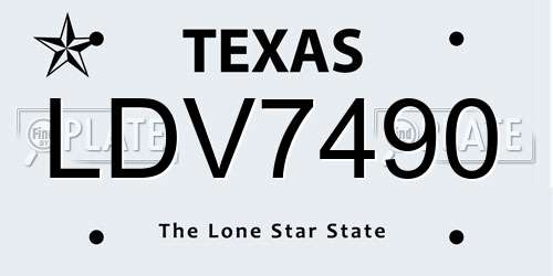 LDV7490 Texas License Plate