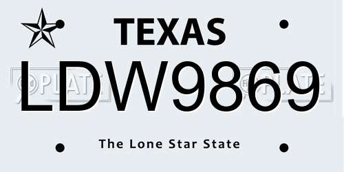 LDW9869 Texas License Plate