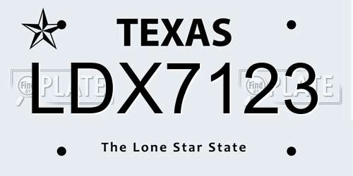 LDX7123 Texas License Plate